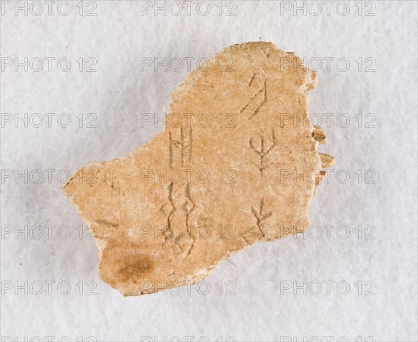 Inscribed bone fragment ("oracle bone"), Late Shang dynasty, ca. 1300-1050 BCE. Creator: Unknown.