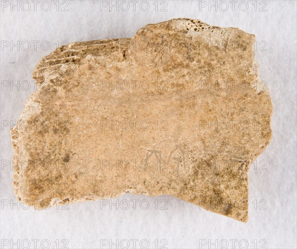 Inscribed bone fragment ("oracle bone"), Late Shang dynasty, ca. 1300-1050 BCE. Creator: Unknown.