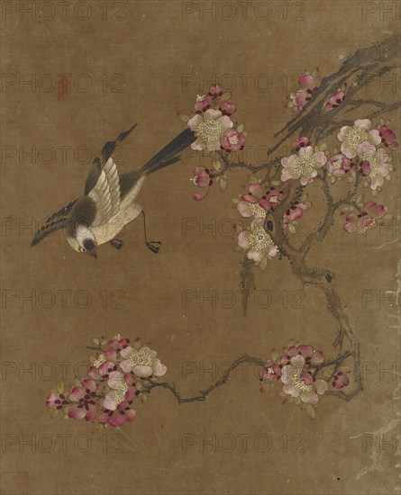 Birds and Flowers, Ming dynasty, 1368-1644. Creator: Unknown.