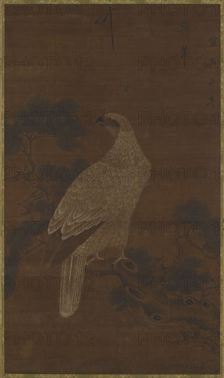 A White eagle on a pine branch, Ming or Qing dynasty, (17th century?). Creator: Unknown.