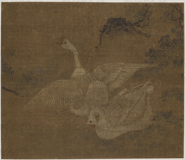 Pair of domestic geese, Possibly Ming dynasty, 1368-1644. Creator: Unknown.