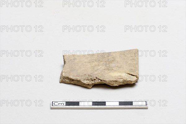 Oracle bone, incribed, Shang dynasty, ca. 1600 - ca. 1050 BCE. Creator: Unknown.