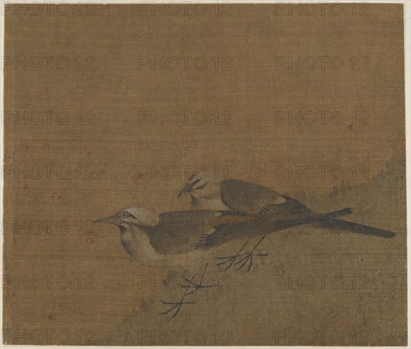 Two pied wagtails, Yuan dynasty, (14th century?). Creator: Unknown.