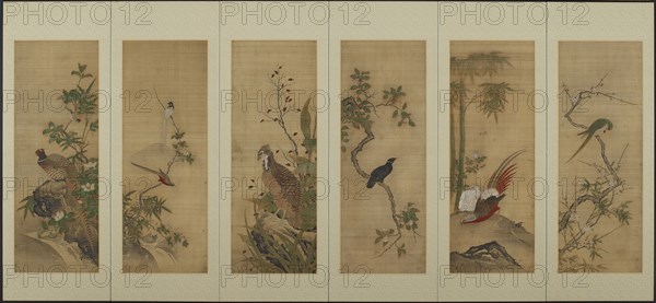 Birds and flowers, Edo period, 18th century. Creator: Unknown.