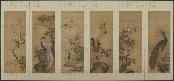 Birds and flowers, Edo period, 18th century. Creator: Unknown.