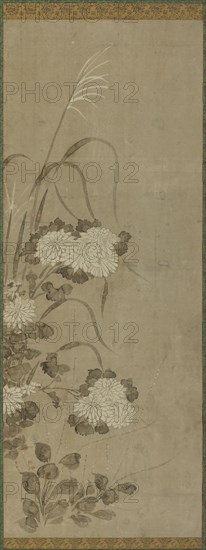 White chrysanthemums and grasses, Edo period, 1615-1868. Creator: Unknown.