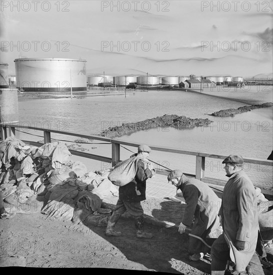 Coryton Oil Refinery, Thurrock, Essex, 02/02/1953. Creator: John Laing plc.