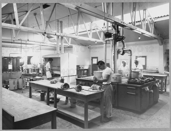 Berkeley Power Station, Berkeley, Ham and Stone, Stroud, Gloucestershire, 16/08/1957. Creator: John Laing plc.