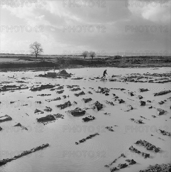 Berkeley Power Station, Berkeley, Ham and Stone, Stroud, Gloucestershire, 06/02/1957. Creator: John Laing plc.