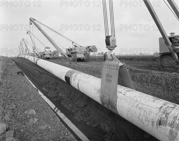 Row of Caterpillar 583 pipelayers with side booms lifting the Fens gas pipeline, Norfolk, 10/08/1967 Creator: John Laing plc.