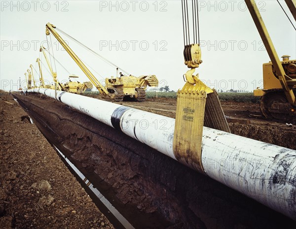 A row of Caterpillar 583 pipelayers with side booms, lifting the Fens gas pipeline, Norfolk, 08/1967 Creator: John Laing plc.