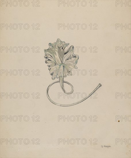 Flower (Lily), c. 1937. Creator: Grace Halpin.