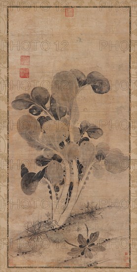 A Cabbage Plant, Late Yuan or early Ming dynasty, 14th-15th century. Creator: Unknown.