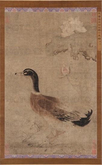 Drake and lotus flowers, Yuan dynasty, 1279-1368. Creator: Unknown.