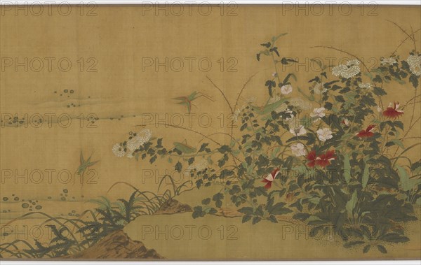 Flowers, Plants, and Insects, Ming dynasty, 16th century. Creator: Unknown.
