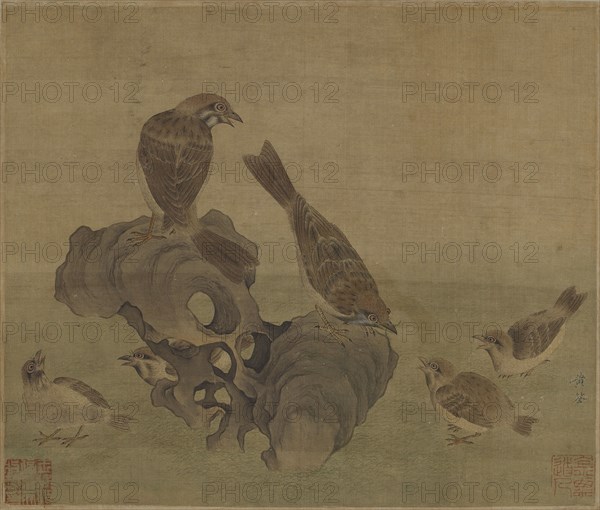 Sparrows feeding their young, Ming or Qing dynasty, (17th century?). Creator: Unknown.
