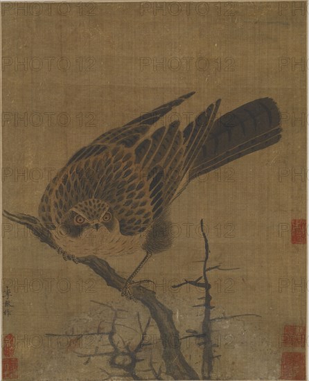Hawk on a leafless branch, Possibly Yuan dynasty, 1279-1368. Creator: Unknown.