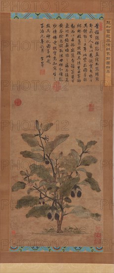 Eggplant, Ming dynasty, 1368-1644. Creator: Unknown.