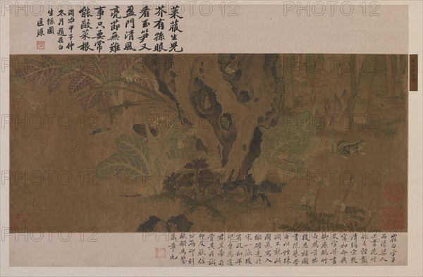 Bamboo, frog, and insects, Ming dynasty, 1368-1644. Creator: Unknown.