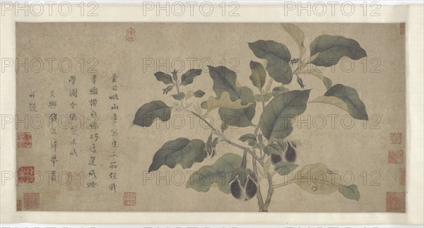 Eggplant, Yuan or Ming dynasty, 14th century. Creator: Unknown.