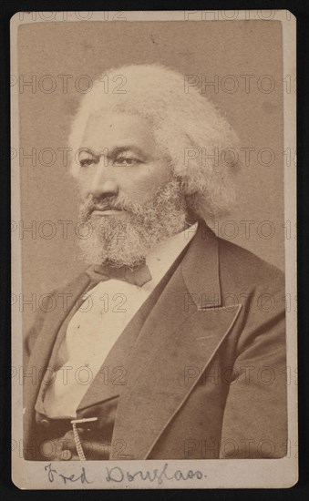 Portrait of Frederick Douglass (1817?-1895), 1878. Creator: Samuel Montague Fassett.