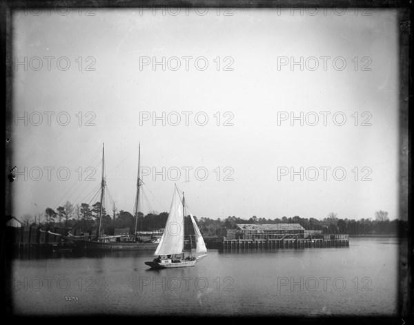 USFC Steamer "Albatross" Survey of the Bahamas, 1886. Creator: United States National Museum Photographic Laboratory.