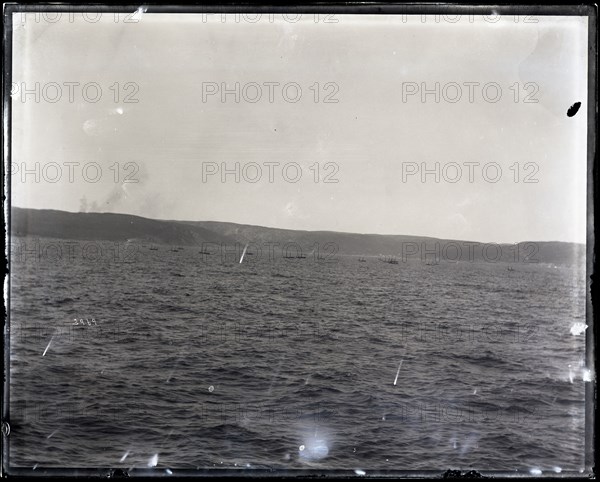 USFC Steamer "Albatross" Survey of Fishing Banks from Newport to Newfoundland, 1885. Creator: United States National Museum Photographic Laboratory.