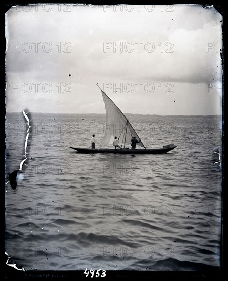 United States Fish Commission Steamer "Albatross" Circumnavigation of South America, 1888. Creator: United States National Museum Photographic Laboratory.