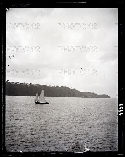 United States Fish Commission Steamer "Albatross" Circumnavigation of South America, 1888. Creator: United States National Museum Photographic Laboratory.