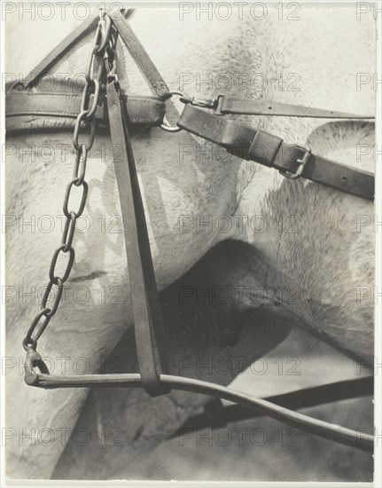 Equivalent, Spiritual America, 1923. Creator: Alfred Stieglitz.