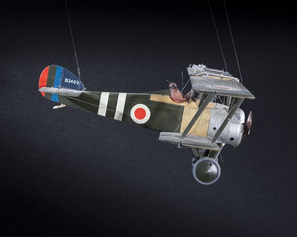 Model, Static, Sopwith F.1/3 Camel "Comic" Night Fighter, 1991. Creator: Alan Durkota.