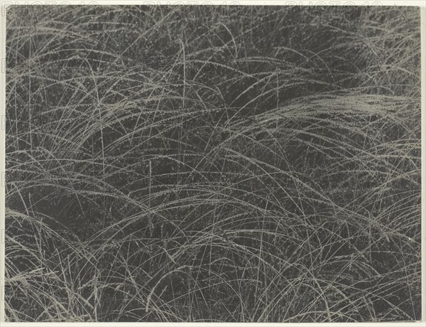 Equivalent, 1927. Creator: Alfred Stieglitz.