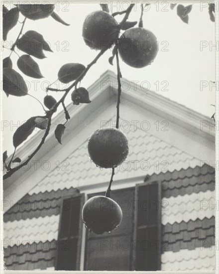 Gable and Apples, 1922. Creator: Alfred Stieglitz.