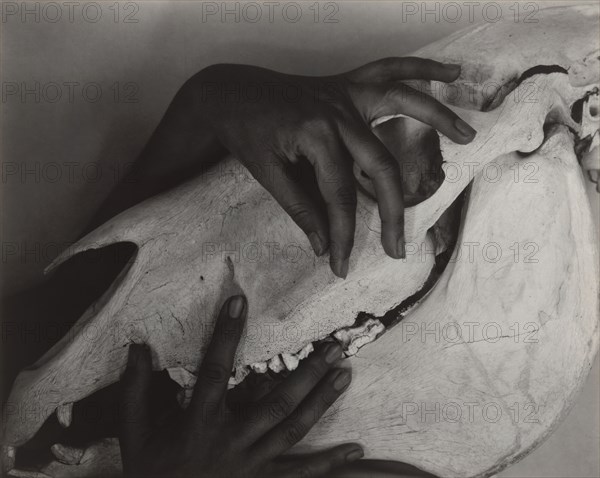 Georgia O'Keeffe - Hands and Horse Skull, 1931. Creator: Alfred Stieglitz.