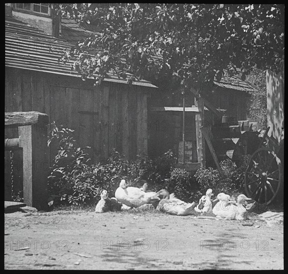 Gutach, 1894. Creator: Alfred Stieglitz.