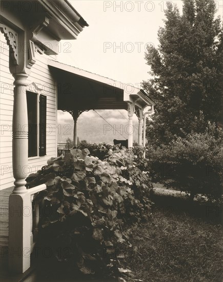House and Grape Leaves, 1934. Creator: Alfred Stieglitz.