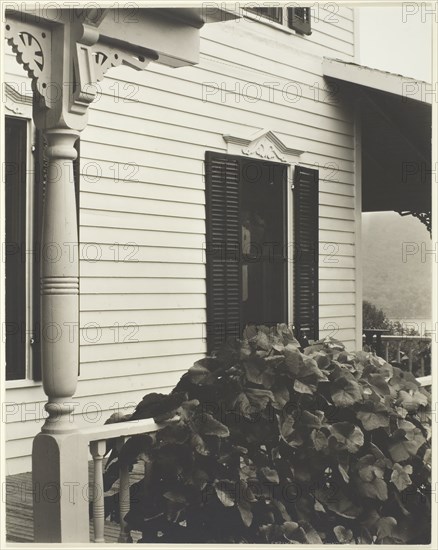 House and Grape Leaves, 1934. Creator: Alfred Stieglitz.