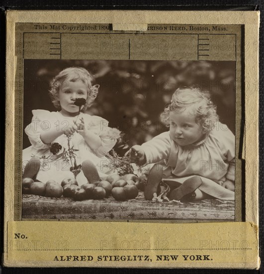 Nieces - Flora holding flower, and Hedwig, c. 1896. Creator: Alfred Stieglitz.