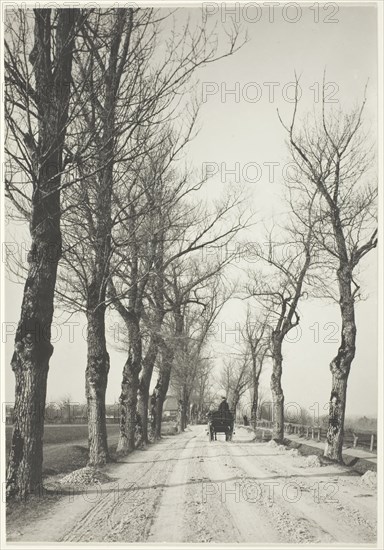 November Days, 1887, printed 1920/39. Creator: Alfred Stieglitz.