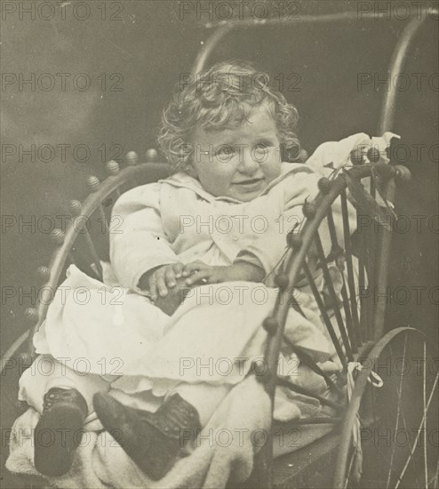 Untitled (Howard Schubart in Carriage), 1893. Creator: Alfred Stieglitz.