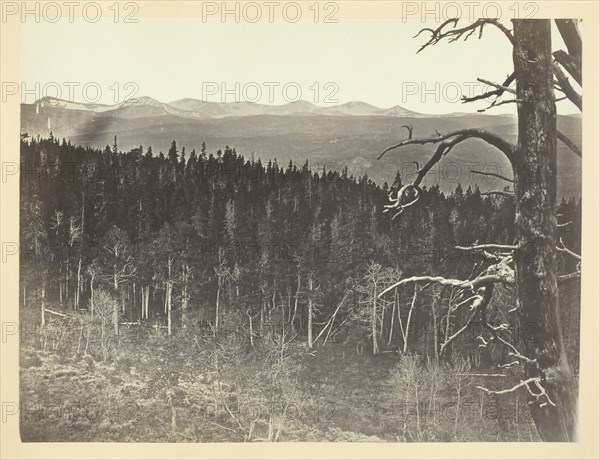 Snow and Timber Line, Medicine Bow Mountain, 1868/69. Creator: Andrew Joseph Russell.