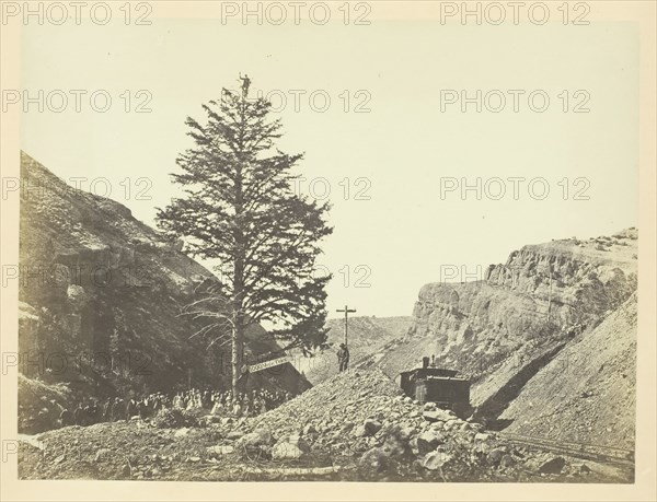 Thousand Mile Tree, Wilhelmina's Pass, 1868/69. Creator: Andrew Joseph Russell.