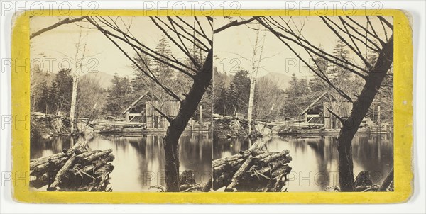 The Mill Pond near Laurel House, 1869/1901. Creator: Anthony & Company.