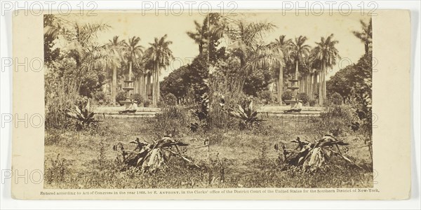 View at the Bishop's Garden, Havana, 1860. Creator: Anthony & Company.