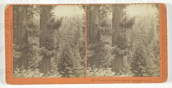 Vine Hill from Magnetic Springs. Santa Cruz Co., Cal., 1878/82. Creator: Carleton Emmons Watkins.