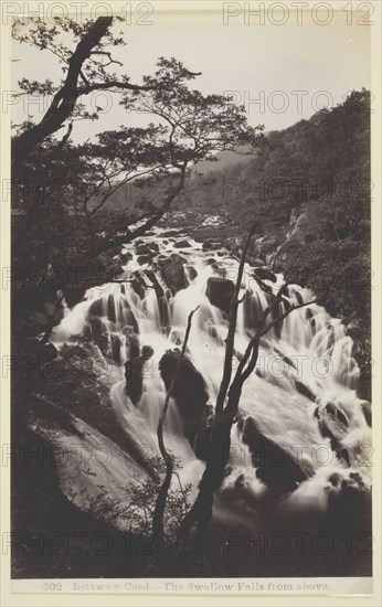 Bettws-y Coed, The Swallow Falls from Above, 1860/94. Creator: Francis Bedford.