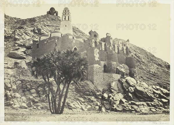 Doum Palm and Ruined Mosque, Philæ, 1857. Creator: Francis Frith.