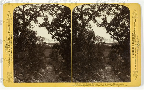 Down the old Quarry Road near Frontenac on Lake Pepn, 1870/1908. Creator: Henry Hamilton Bennett.