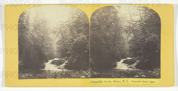 Cascadilla Creek, Ithaca, N.Y. Cascade above dam, 1860/65. Creator: J. C. Burritt.