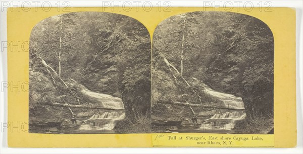 Fall at Shurger's, East shore Cayuga Lake, near Ithaca, N.Y., 1860/65. Creator: J. C. Burritt.